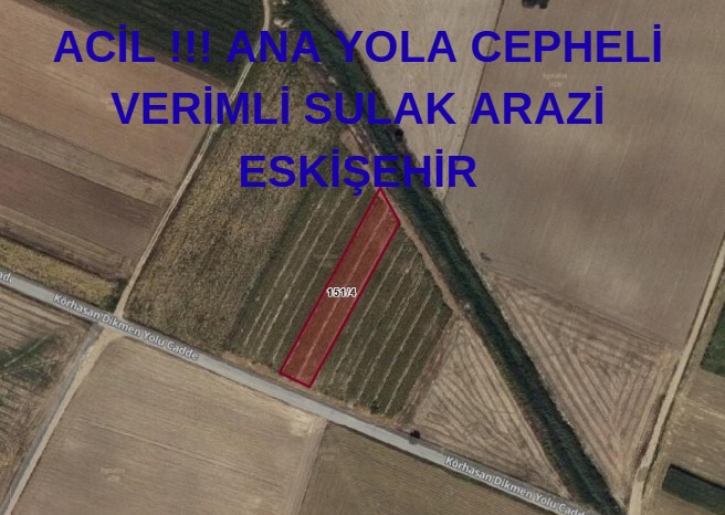 ACİL !!! ANA YOLA CEPHELİ VERİMLİ SULAK ARAZİ ESKİŞEHİR - ESKİŞEHİR ÇİFTELER fotoğraf 5